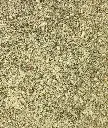 IMG_8346.webp