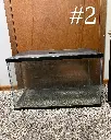 Medium Aquarium