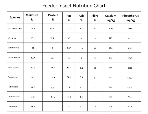 Feeder Insect Nutrition Chart