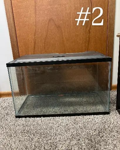 Medium Aquarium