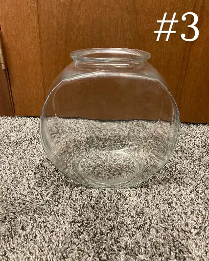 Fish Bowl